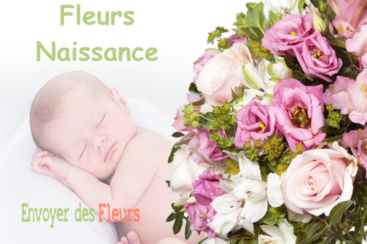 lIVRAISON FLEURS NAISSANCE à PATORNAY