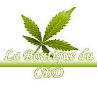 LA BOUTIQUE DU CBD PATORNAY 